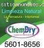 Servicios de limpieza profesional en tap