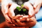 Solicito Vendedores por Catálogo