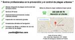 Servicios de control de plagas en Puebla