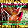 amarres! 7 brujos negros!! YA NO TE PELA