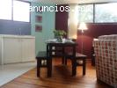 Departamento tipo suite en renta al sur.