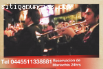 Mariachis en el Centro 0445511338881