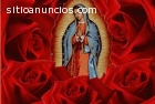 amarres eternos y lectura del tarot