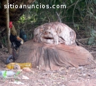 Brujería Trabajos Espirituales