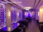 Celosias Decorativas  – venta