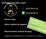COBRO LEGAL DE PAGARÉS 55 87 64 61 39 AS