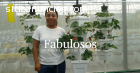 Curso de Agricultura Urbana y huertos