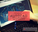 Diplomado de AutoCAD