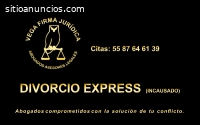DIVORCIO ABOGADOS ASESORIA  55 8764 6139