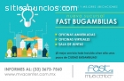 Dos últimos días de promoción, oficinas