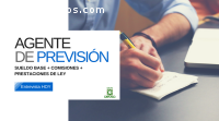 Ejecutivo de ventas en previsión social