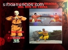 ESCUELA DE KUNG FU AL NORTE DE LA CIUDAD