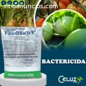 FINAL BACTER