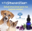 Flores de Bach para emociones en Mascota