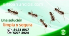 Fumigaciones en CDMX y EDOMEX