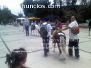 GRANJA DIDACTICA