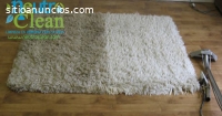 Lavado de Alfombras, Lavado de Salas, La