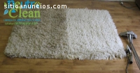 Lavado orgánico de alfombras y muebles a