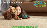 Lavado orgánico de alfombras y muebles