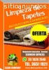 Limpieza de Tapetes