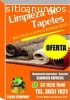 limpieza de Tapetes