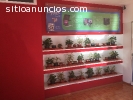 local comercial en calzada arenal, tepep