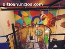 Loft amueblado, ideal para ejecutivos