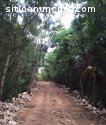 Lotes en comunidad ecológica con cenote