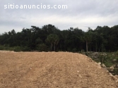 Lotes en comunidad ecológica con cenote