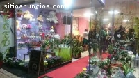 Monte Su Propia Floristería