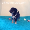 Muy bonita Ultra Tiny capa larga Negro T