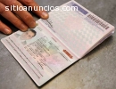 Obtenga un pasaporte real, tarjeta de id
