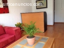 OFICINAS EN RENTA AMUEBLADAS EN MVA FAST