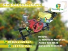 Parihuela Con Motor a Gasolina 6.5 Hp