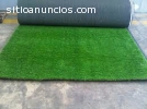 PASTO ALFOMBRA  VERDE