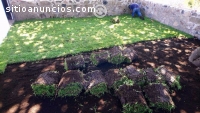 PASTO EN ROLLO Y TIERRA PARA JARDIN