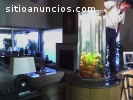 Peceras, estanques y cascadas a la medid