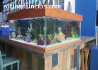 PECERAS Y ESTANQUES A LA MEDIDA