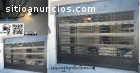 Regio Protectores -Centro Mty. MCCCXIX