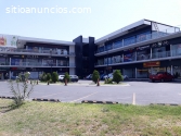 RENTA DE LOCALES EN PLAZA GONZALITOS.