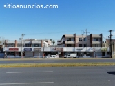 Rento Oficina Paseo De Los Leones 1813-2