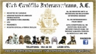 REPRESENTANTE DE CLUB CANOFILO