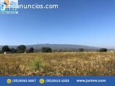 SE VENDE TERRENO EN TEMAMATLA
