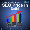 seo price in delhi