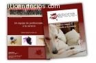 servicio de diseño grafico