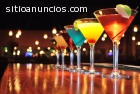 SERVICIO DE MESEROS Y BARTENDER