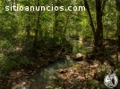 SIERRA MAZATI TERRENOS EN TAPALPA