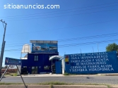SISTEMAS DE RIEGO TECNIFICADOS