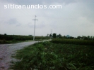 Terreno en venta Irapuato por P. Cibeles