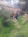 TERRENO VENTA MANUEL AVILA CAMACHO